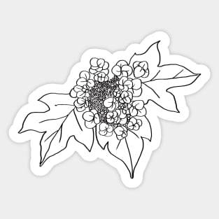 Oak-Leaf Hydrangea Sticker